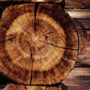 wooden watch