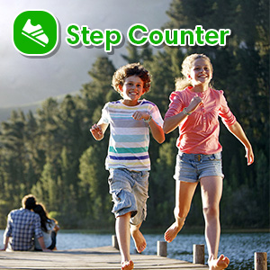 step counter