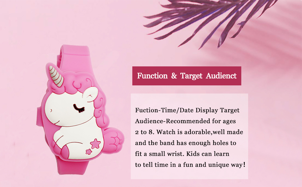 Function  &  Target  Audienct